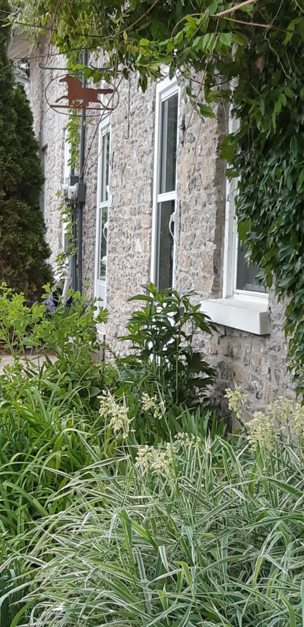 Stone Carriage House Villa Picton Kültér fotó
